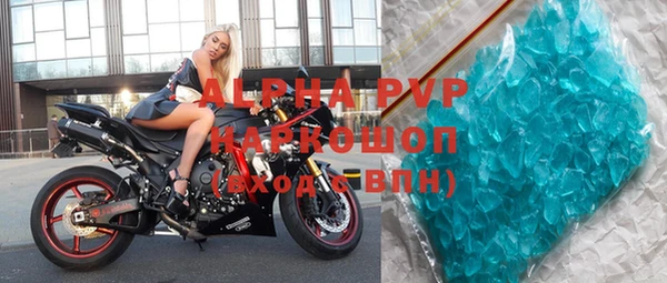 ГАЛЛЮЦИНОГЕННЫЕ ГРИБЫ Белая Холуница